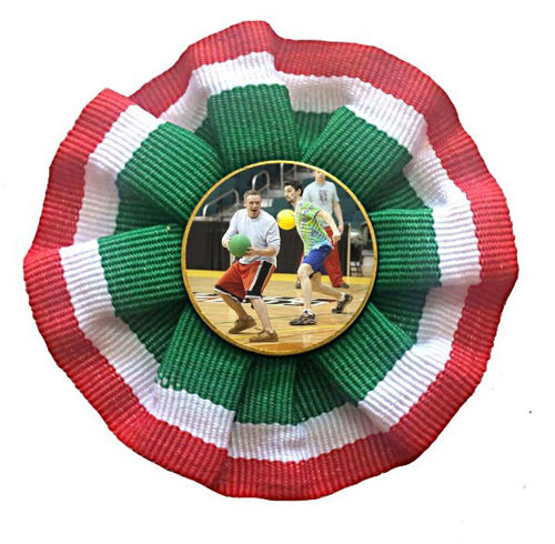 Immagine di ROSETTA TRICOLORE DODGEBALL - Art. 7424