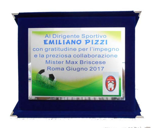 Immagine di TARGA PREMIAZIONE CALCIO - Art. AS1002