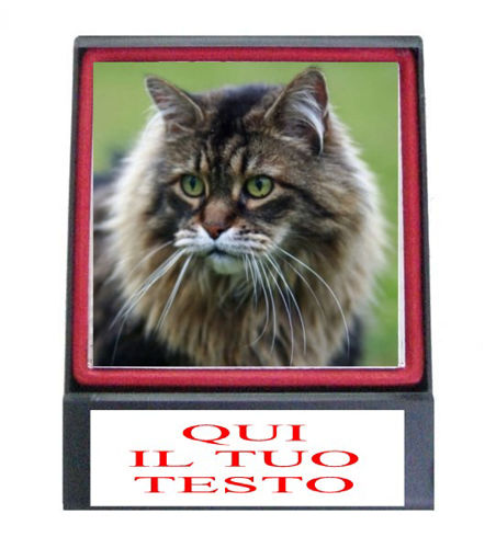 Immagine di PREMIO EXPO GATTI - Art. PL75K