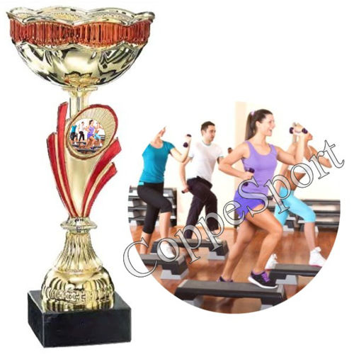 Immagine di TROFEO STEP FITNESS Art. 1236/3 - h. cm. 27