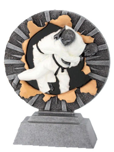 Immagine di TROFEO JUDO - Art. FG1042