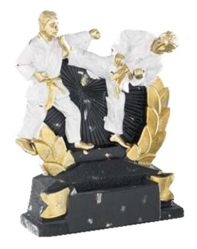 Immagine di TROFEO PREMIO ARTI MARZIALI - Art. 21913