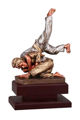 Immagine di TROFEO JUDO - Art. 3802/1
