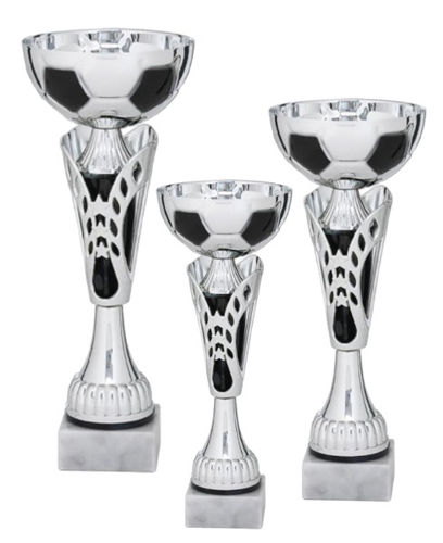 Immagine di 3 PREMI PER IL CALCIO - Art. EL_930