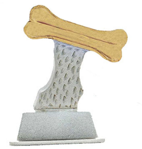 Immagine di PREMIO CINOFILIA - Art. RM063