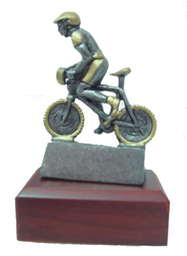 Immagine di PREMIO BIKE IN PELTRO ANTICO