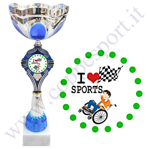 Immagine di PREMIO PER DIVERSAMENTE ABILI - Art. 08150