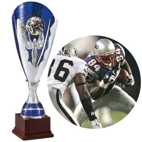 Immagine di TROFEO FOOTBALL AMERICANO - Art. EL_445/1