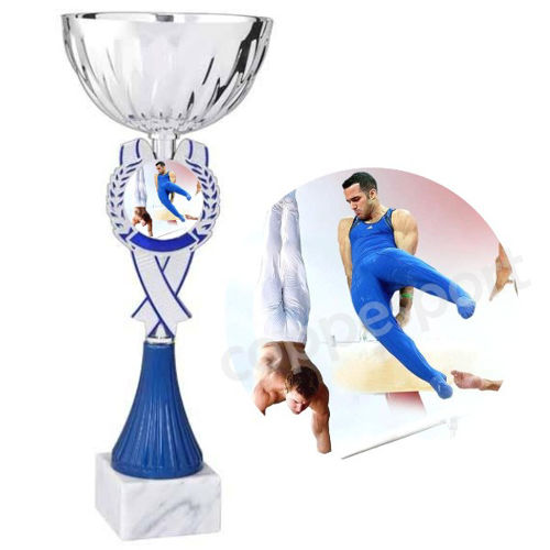 Immagine di TROFEO PREMIO GINNASTICA Art. 123/2 - cm. 28