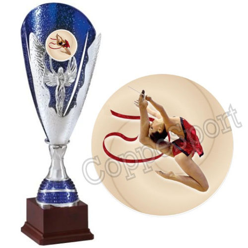 Immagine di PREMIO PER LA GINNASTICA - Art. 445/2