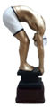 Immagine di TROFEO NUOTO - Art. 23525B