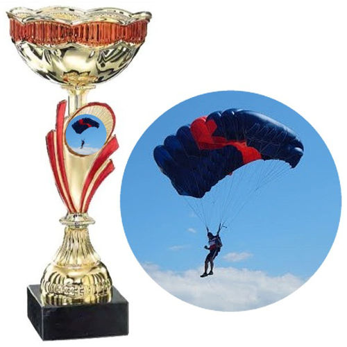 Immagine di PREMIO SPORT PARACADUTISMO - Art. 1236/3