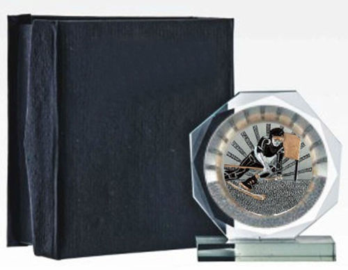 Immagine di PREMIO SPORT SCI - Art. Z2094