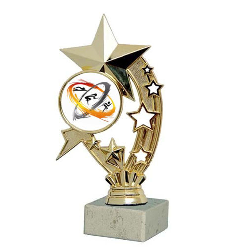 Immagine di PREMIO TRIATHLON - Art. F235G