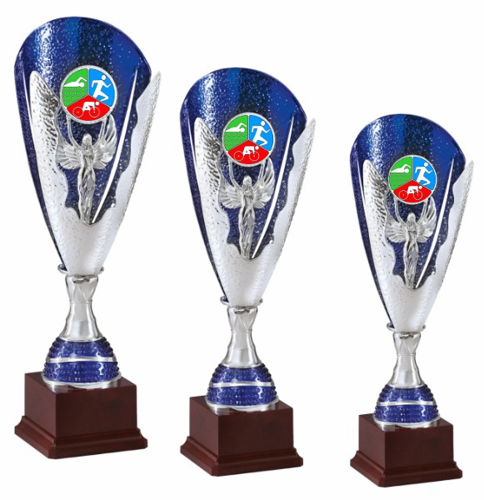 Immagine di 3 TROFEI PER IL TRIATHLON - Art. EL_445