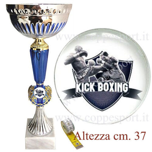 Immagine di PREMIO KING BOXING - Art. 0510/S