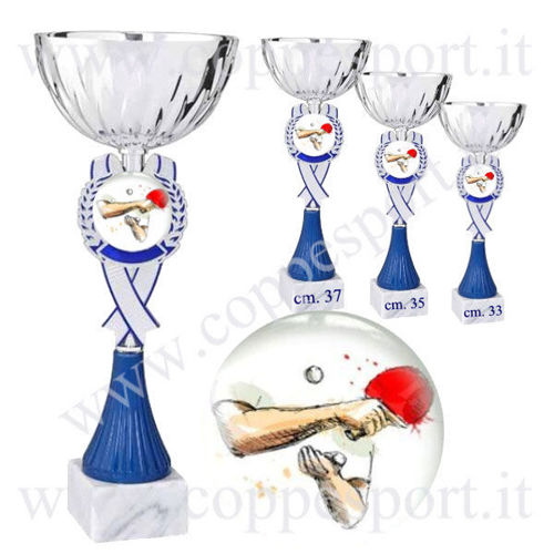 Immagine di 3 PREMI PER IL TENNISTAVOLO - Art. 123_S3
