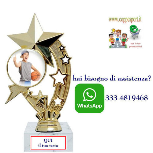 Immagine di PREMIO MINI BASKET - Art. F235G