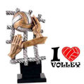 Immagine di TROFEO VOLLEY  - Art. 3682/2