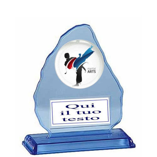 Immagine di HOLDER ARTI MARZIALI - Art. STD104