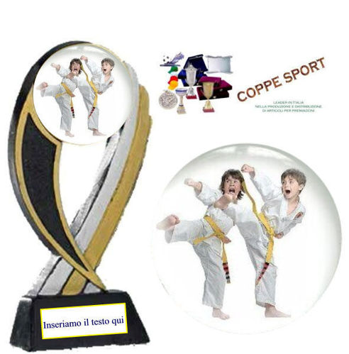 Immagine di PREMIO ARTI MARZIALI - Art. FS29