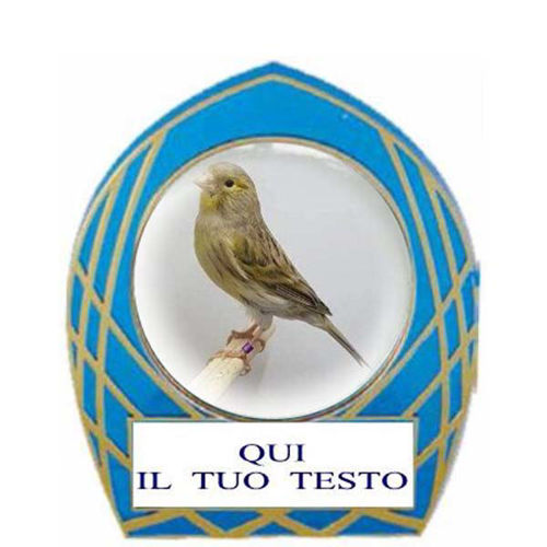 Immagine di HOLDER ORNITOLOGIA - Art. 11815