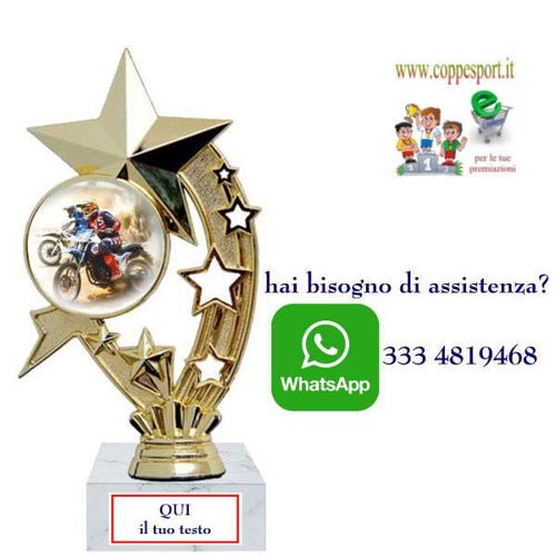 Immagine di PREMIO MOTOCROSS - Art. F235G
