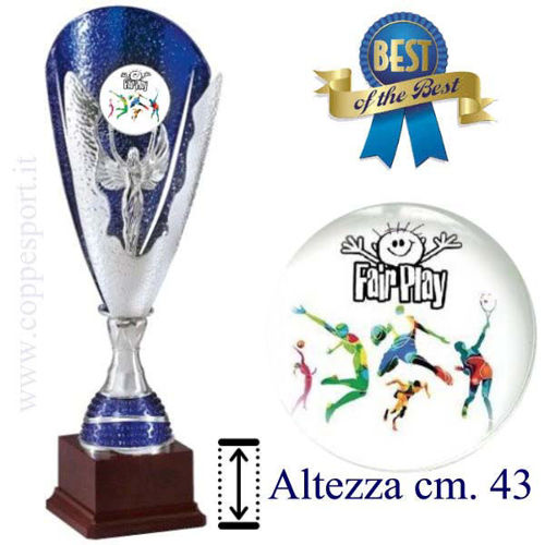 Immagine di PREMIO FAIR PLAY - Art. 445/2