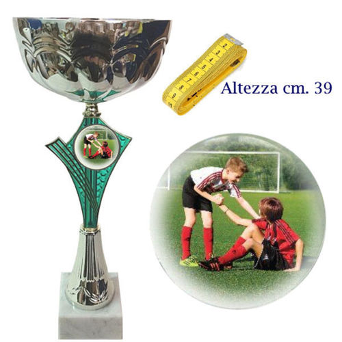 Immagine di PREMIO FAIR PLAY - Art. 1A76
