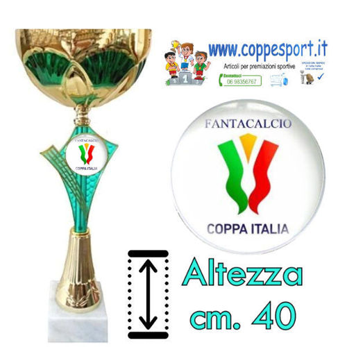 Immagine di FANTACALCIO COPPA ITALIA - Art. 1A48