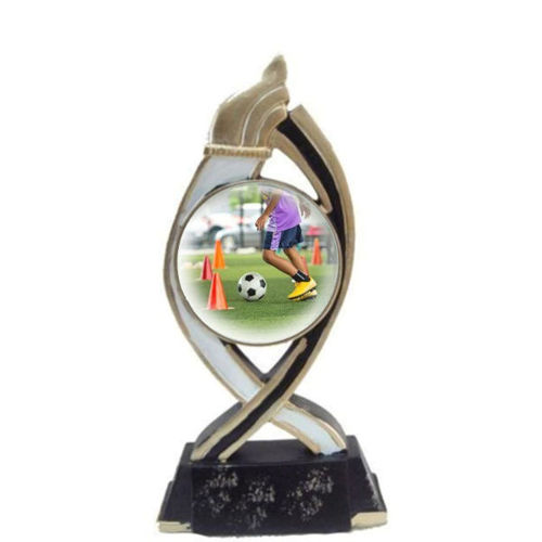 Immagine di PREMIO PER SCUOLA CALCIO - Art. 10822