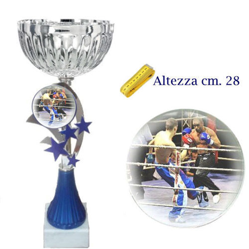 Immagine di PREMIO KICK BOXING - Art. 123/2
