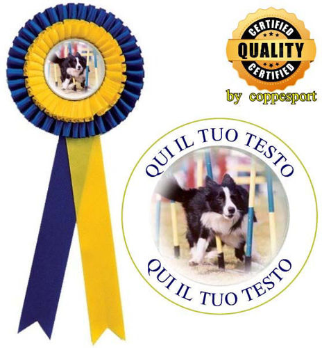 Immagine di COCCARDA MAXI GIALLO/BLU - Art. 7417BY