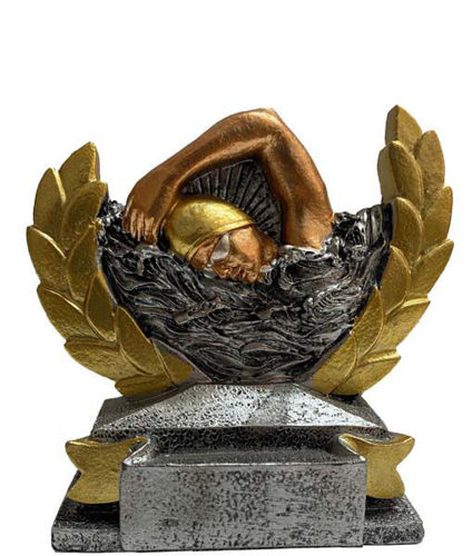 Immagine di PREMIO NUOTO - Art. 21916/7