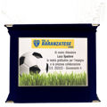 Immagine di TARGA  CALCIO - Art. Z8942.140