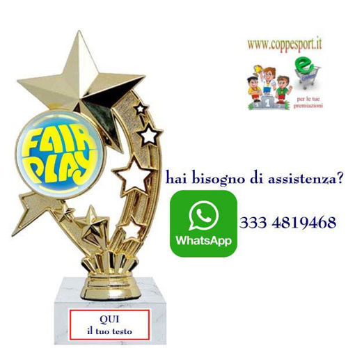 Immagine di PREMIO FAIRPLAY - Art. F235G