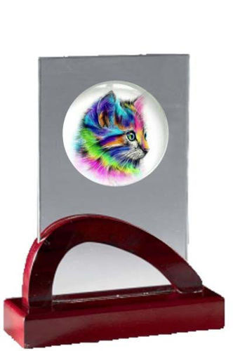 Immagine di PREMIO EXPO GATTI - Art. 8709_17