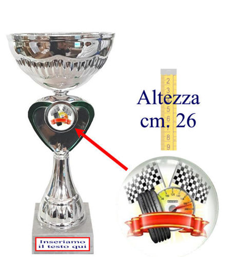 Immagine di PREMIO MOTORI - Art. 120/3