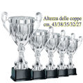 Immagine di SERIE 5 COPPE - Art. 3830