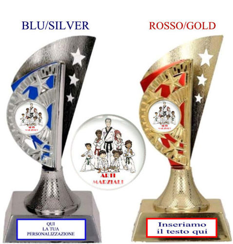 Immagine di PREMIO ARTI MARZIALI - Art. 382