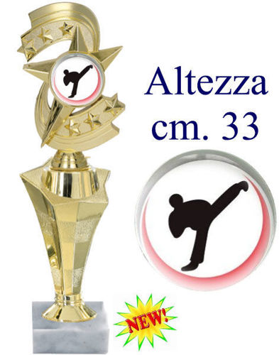 Immagine di PREMIO ARTI MARZIALI - Art. F270G