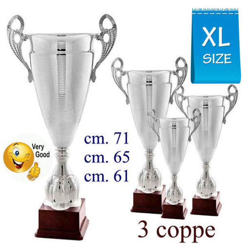 Immagine di SERIE DI 3 COPPE - ART. 428M