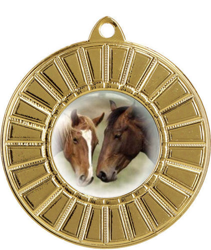Immagine di MEDAGLIA EQUITAZIONE Ø mm. 50