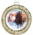 Immagine di MEDAGLIONE EQUITAZIONE Ø mm.70