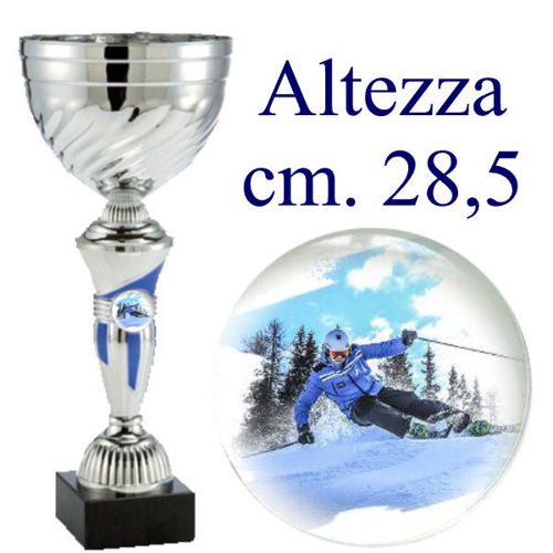 Immagine di PREMIO SPORT INVERNALI - Art. 230/2