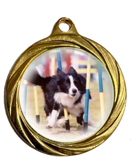 Immagine di MEDAGLIA CINOFILIA - diametro mm. 32