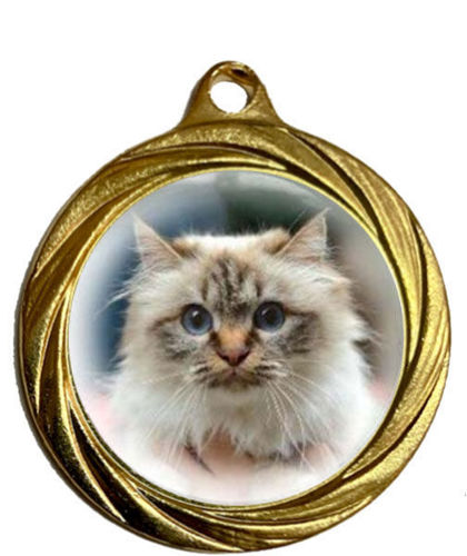 Immagine di MEDAGLIA EXPO GATTI - diametro mm. 32