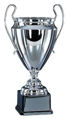 Immagine di COPPA MODELLO CHAMPIONS - Art. 4710/X