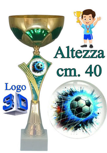 Immagine di PREMIO CALCIO - Art. 1A48