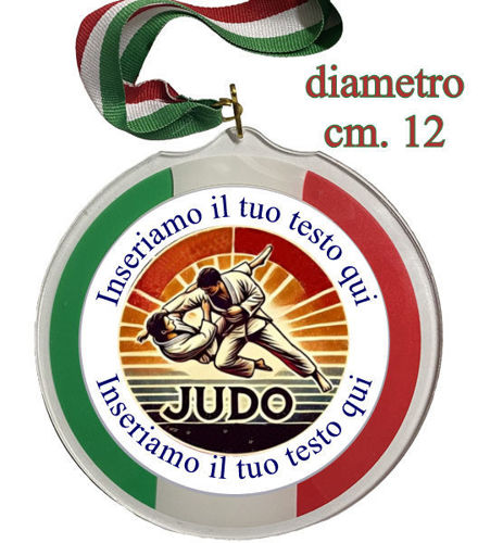 Immagine di MEDAGLIA IN PLEX JUDO Ø mm. 120